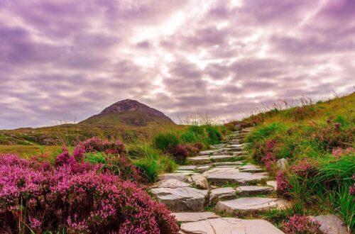 brughiera-irlanda